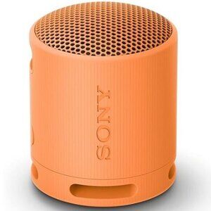 Sony SRS-XB100 Wireless Bluetooth Portable Lightweight Travel Speaker - NEW